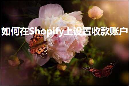 品牌网站推广 跨境电商知识:如何在Shopify上设置收款账户